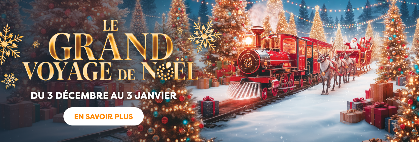 Le grand voyage de Noël